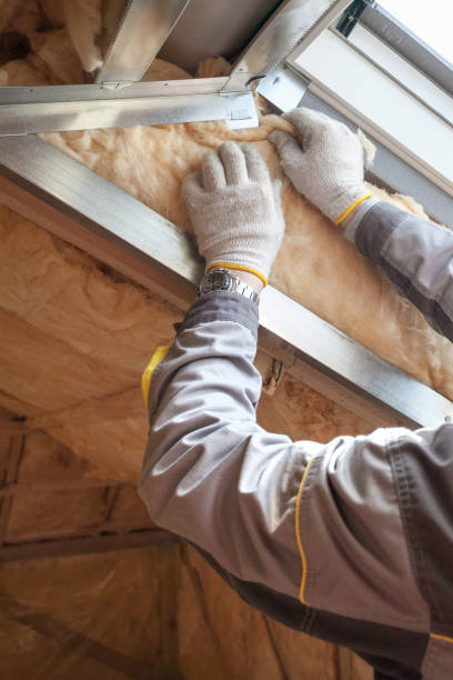 Best Commercial Insulation in Ashburn, GA