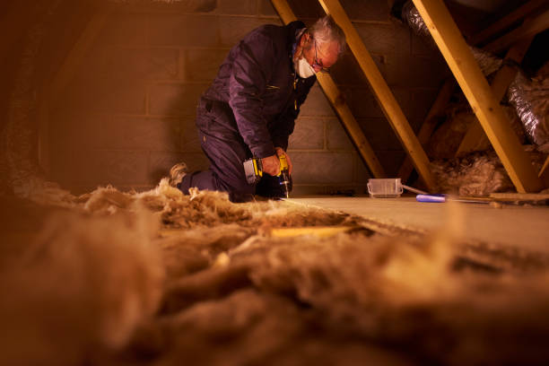 Best Insulation Maintenance and Repair in Ashburn, GA